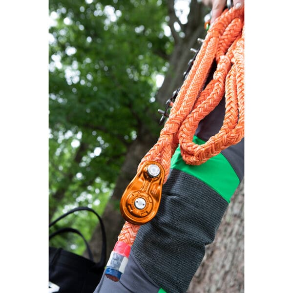 Orange rope and climbing pulley near a tree.