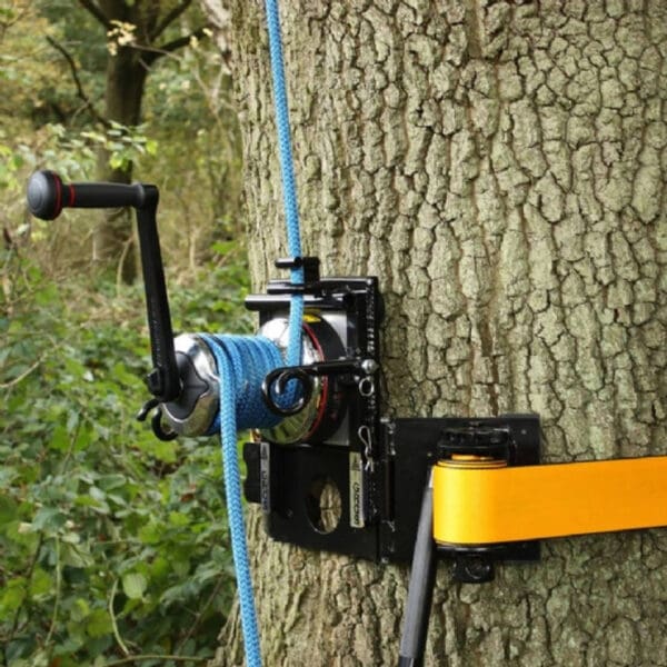 Tree climbing rope and pulley system.