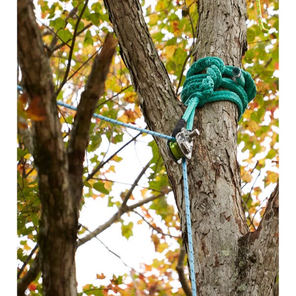 Tree climbing gear attached to a tree.