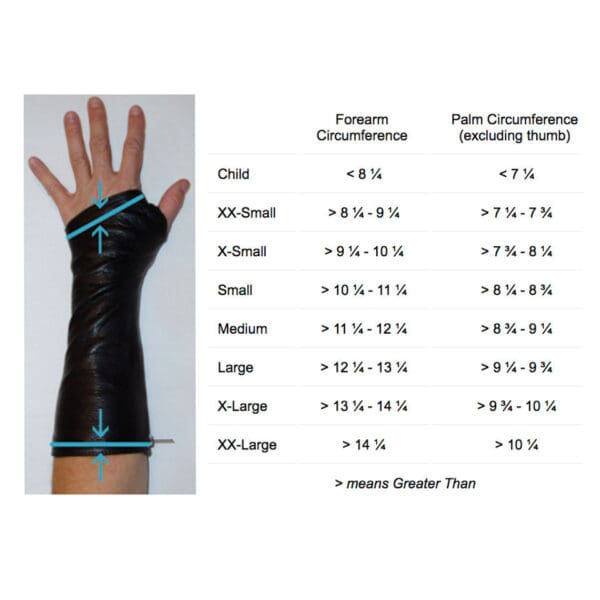 Hand and forearm size chart for gloves.