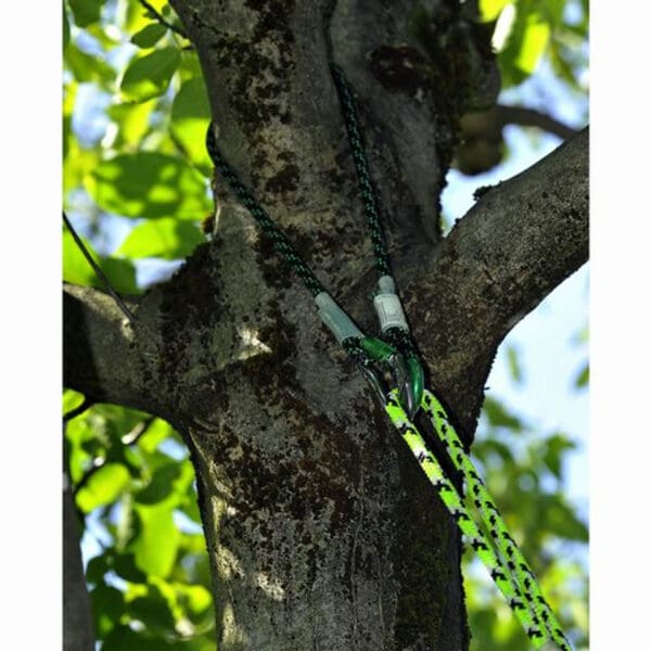 Green and black ropes tied around a tree.