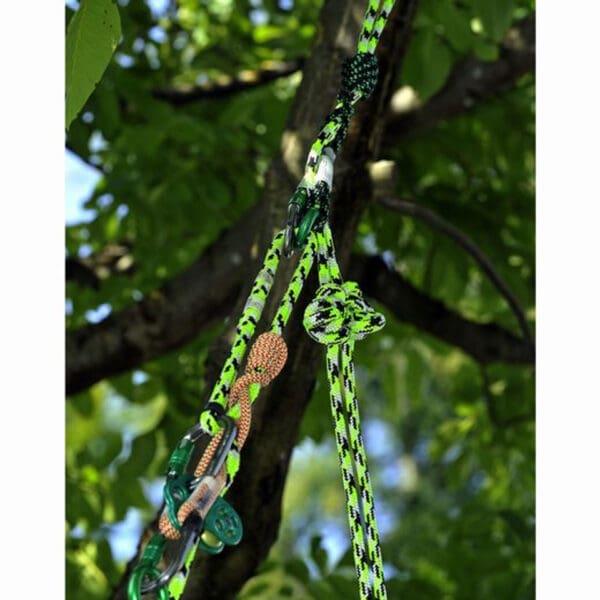 Green climbing rope tied to a tree.