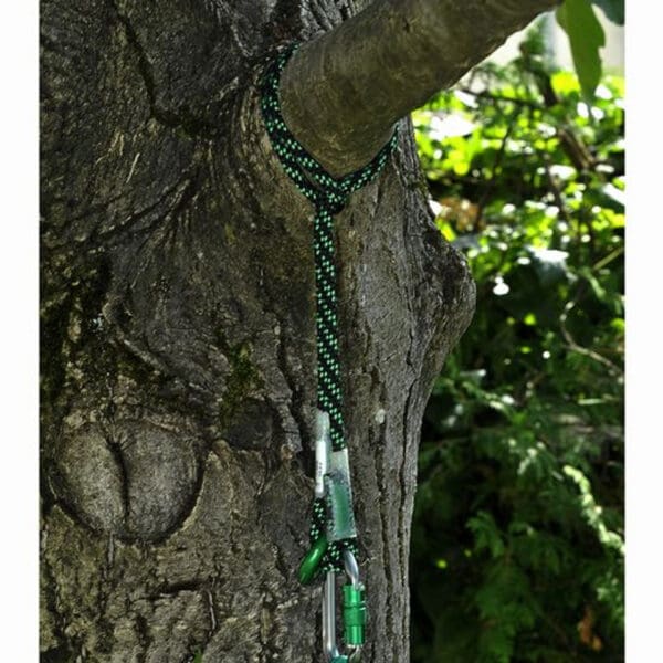 Green rope tied around a tree trunk.