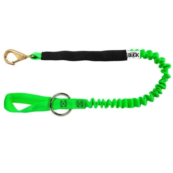 Green bungee leash with metal ring and hook.