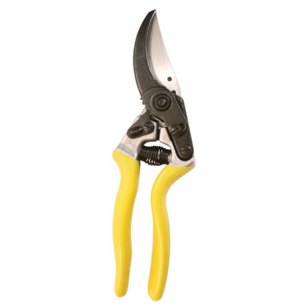 Yellow handled pruning shears.