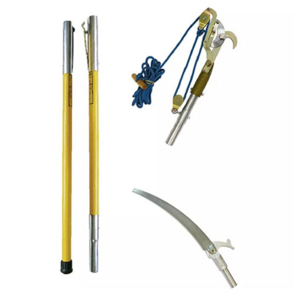 Tree pruning tools: saw, loppers, poles.