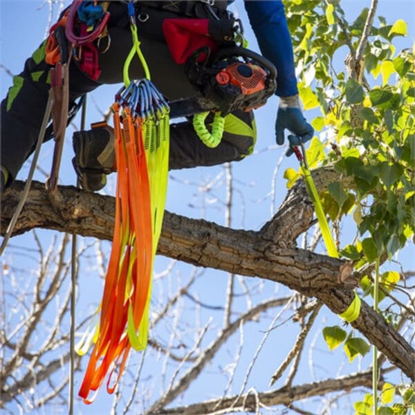 Tree worker with safety equipment and chainsaw.