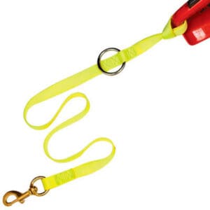 Yellow leash with metal ring and clip.