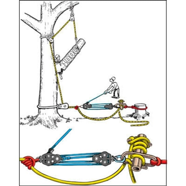 Tree felling with pulley system.