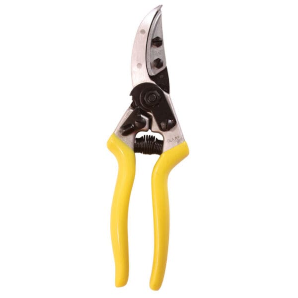 Yellow-handled bypass pruning shears.