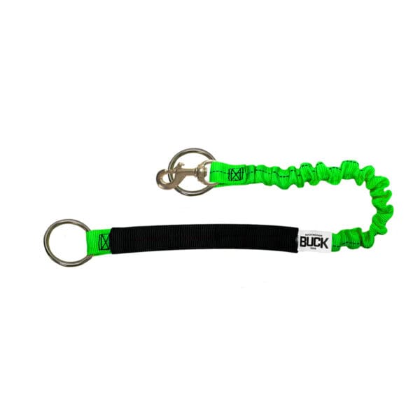 Green and black bungee dog leash with clip.